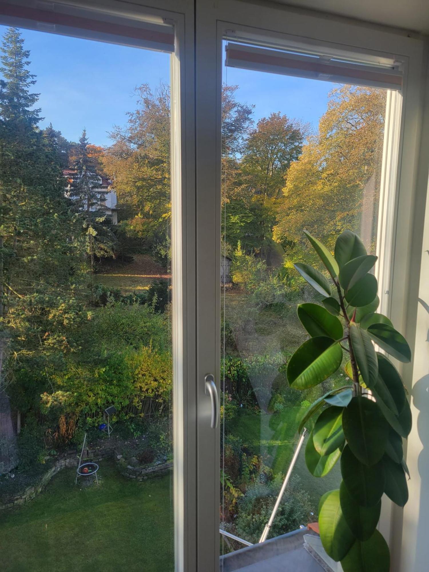 Appartement Wohnen Am Steiger In Erfurt Sued Extérieur photo
